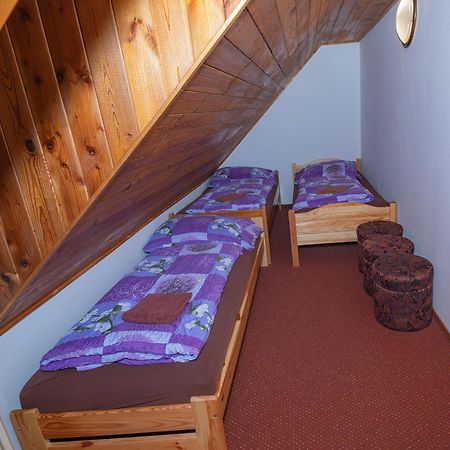 Penzion Harry Na Sjezdovce Krkonose Vysoké nad Jizerou Exteriör bild
