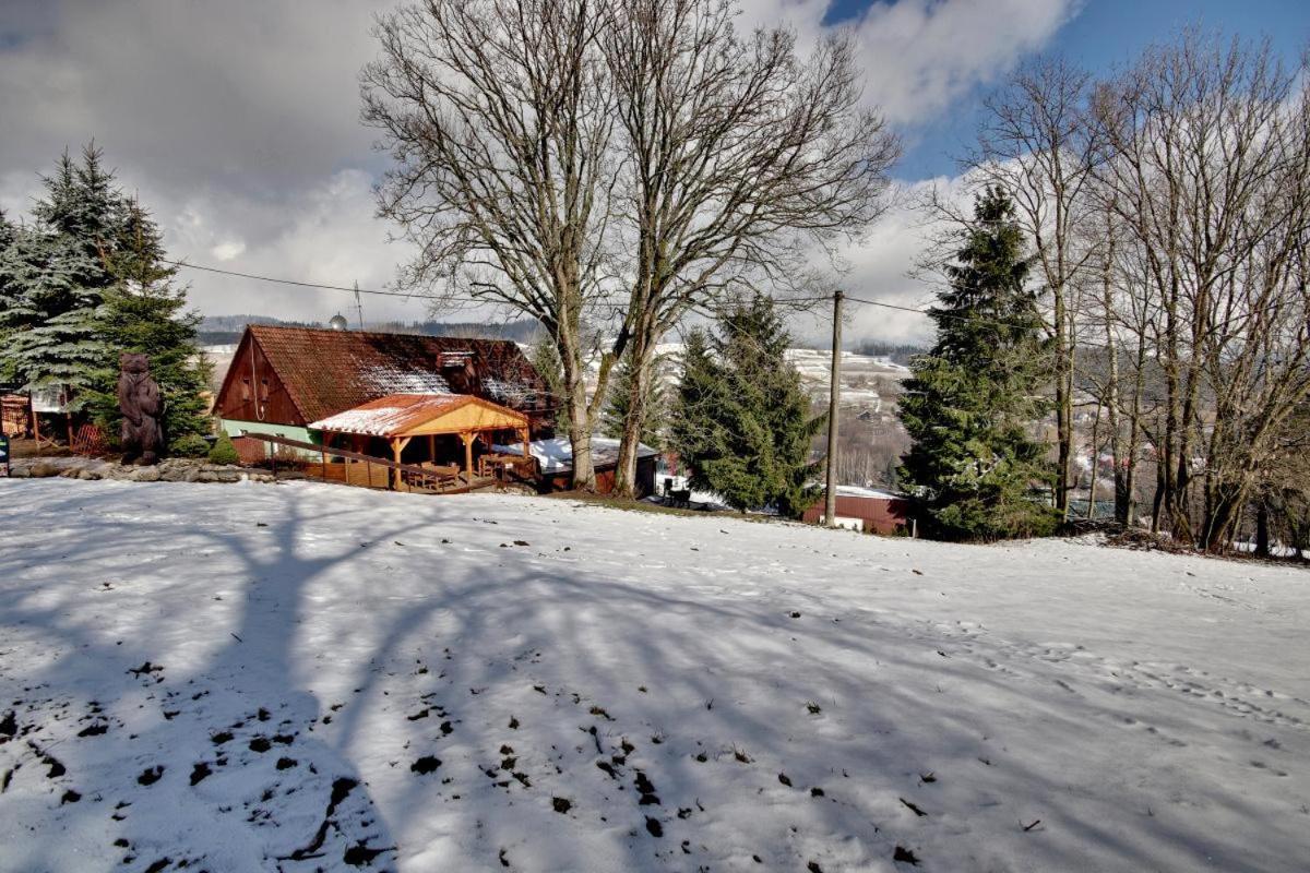 Penzion Harry Na Sjezdovce Krkonose Vysoké nad Jizerou Exteriör bild